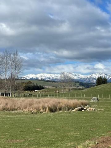 Boutique Tiny House - Te Anau Country Accommodation المظهر الخارجي الصورة