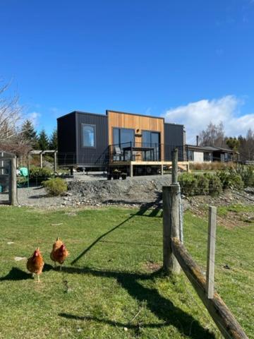 Boutique Tiny House - Te Anau Country Accommodation المظهر الخارجي الصورة